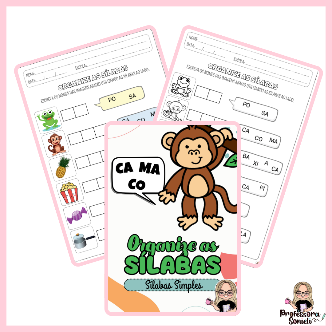 ORGANIZE AS SÍLABAS